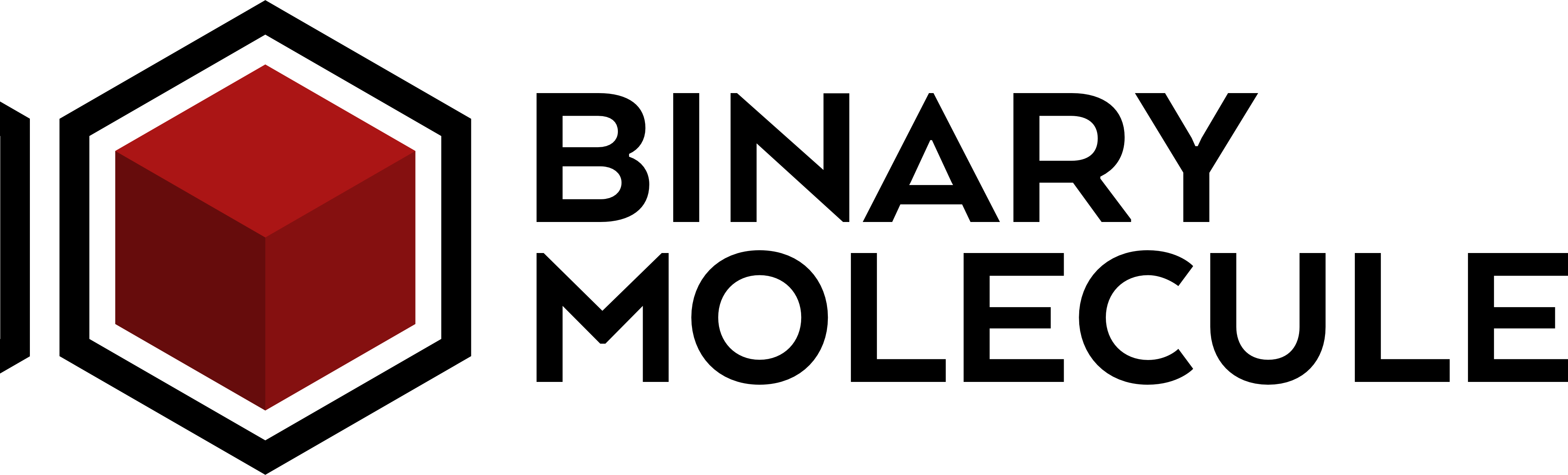 Binary Molecule